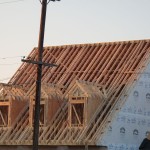 P1020331